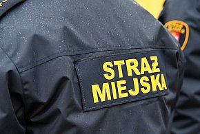 Zapuka strażnik, zapłacisz karę. Ruszyły kontrole w całej Polsce-4092
