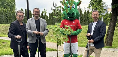 W Parku Miejskim na myślenickim Zarabiu posadzono 29 nowych drzew