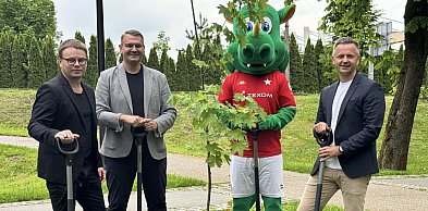W Parku Miejskim na myślenickim Zarabiu posadzono 29 nowych drzew