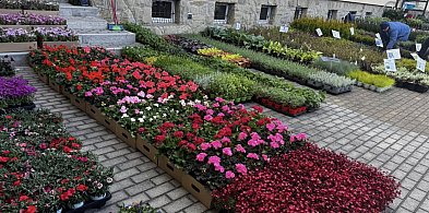 Piknik Ekologiczny w Myślenicach