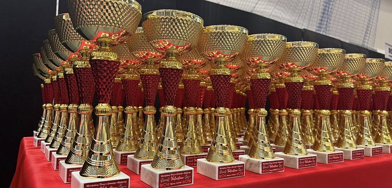 Turniej w Gimnastyce Artystycznej Sweet Valentine Cup 2026