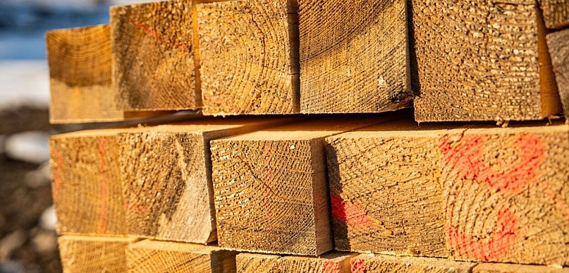 Suszarnia komorowa vs. suszarnia tunelowa — co wybrać dla zakładu drzewnego?