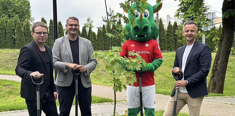 W Parku Miejskim na myślenickim Zarabiu posadzono 29 nowych drzew