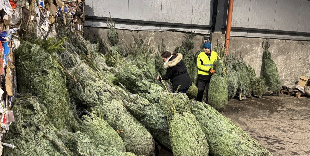 Myślenicki Serwis Informacyjny